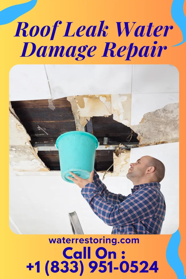 Roof Leak Water Damage Repair in Leighton, AL